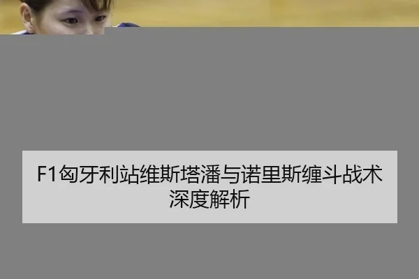 F1匈牙利站维斯塔潘与诺里斯缠斗战术深度解析