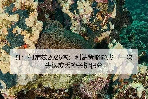 红牛佩雷兹2026匈牙利站策略隐患：一次失误或丢掉关键积分
